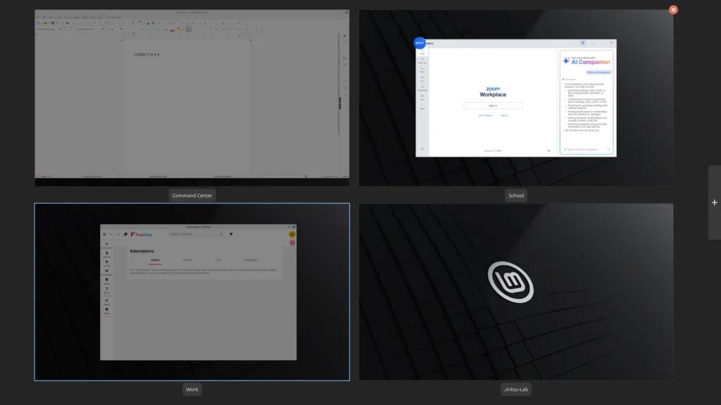 Linux Mint Cinnamon workspaces overview showing multiple desktops and workspace switching